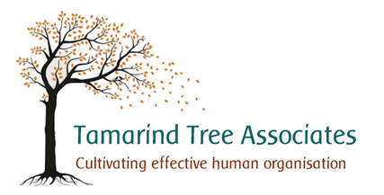 TAMARIND TREE ASSOCIATES